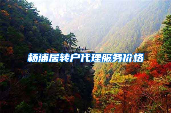 杨浦居转户代理服务价格