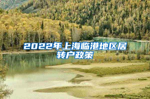 2022年上海临港地区居转户政策