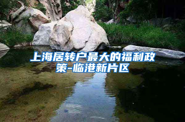 上海居转户最大的福利政策-临港新片区