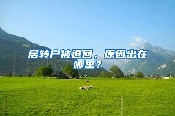 居转户被退回，原因出在哪里？