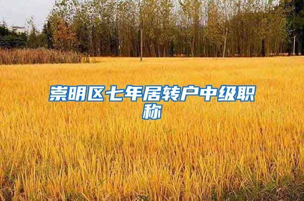 崇明区七年居转户中级职称