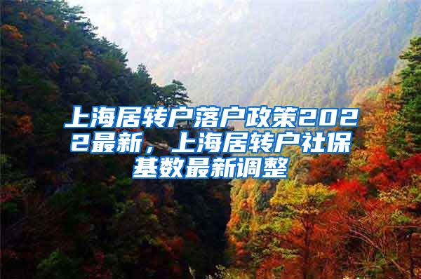 上海居转户落户政策2022最新，上海居转户社保基数最新调整