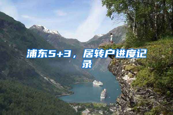 浦东5+3，居转户进度记录