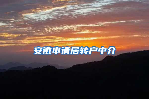 安徽申请居转户中介