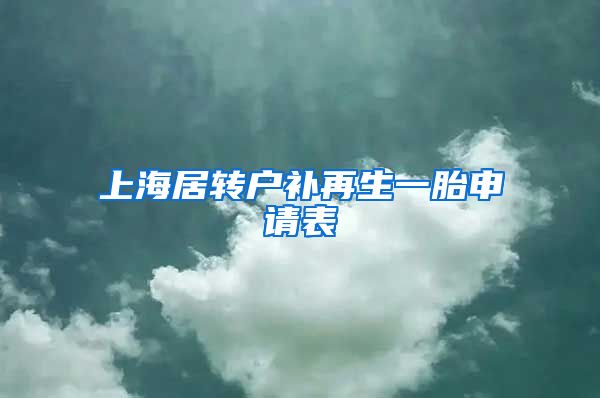 上海居转户补再生一胎申请表