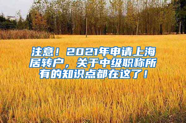 注意！2021年申请上海居转户，关于中级职称所有的知识点都在这了！