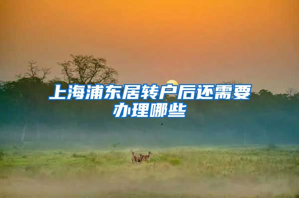 上海浦东居转户后还需要办理哪些