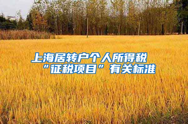 上海居转户个人所得税“征税项目”有关标准