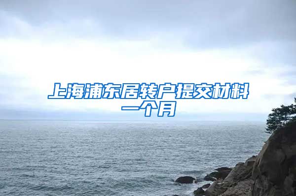 上海浦东居转户提交材料一个月