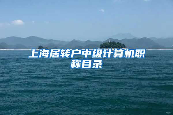 上海居转户中级计算机职称目录