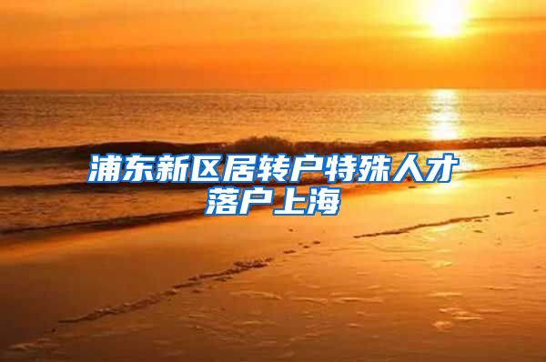 浦东新区居转户特殊人才落户上海