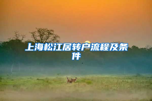 上海松江居转户流程及条件