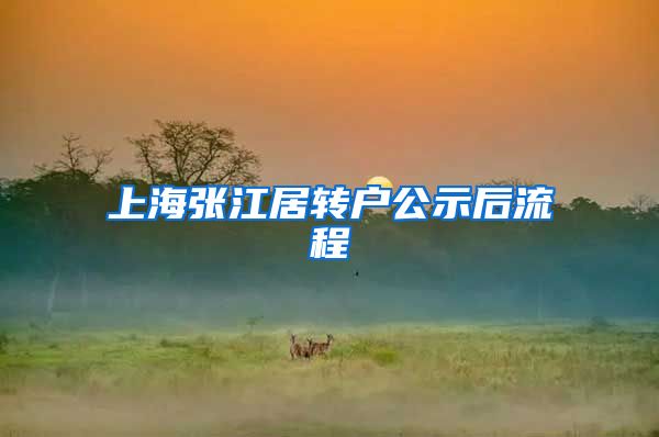 上海张江居转户公示后流程