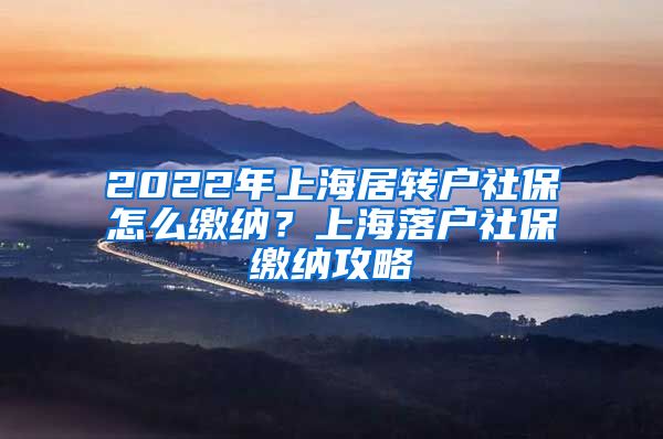 2022年上海居转户社保怎么缴纳？上海落户社保缴纳攻略