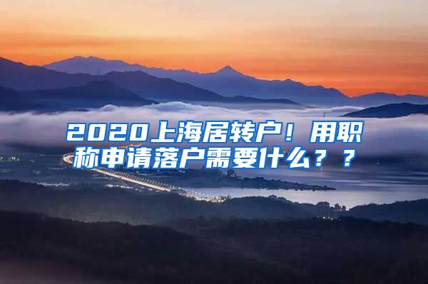 2020上海居转户！用职称申请落户需要什么？？
