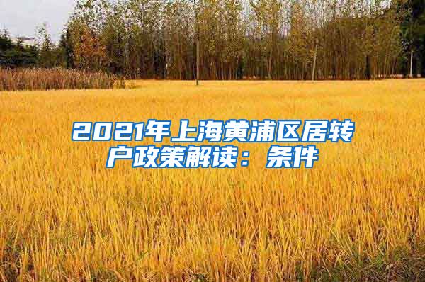 2021年上海黄浦区居转户政策解读：条件