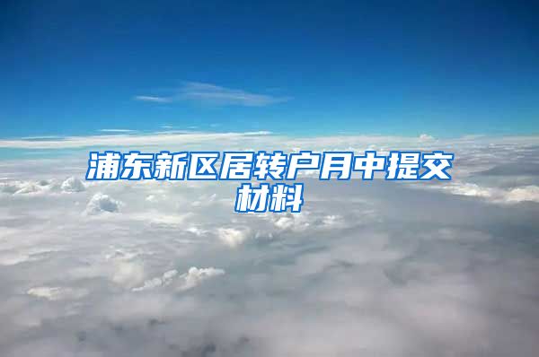 浦东新区居转户月中提交材料