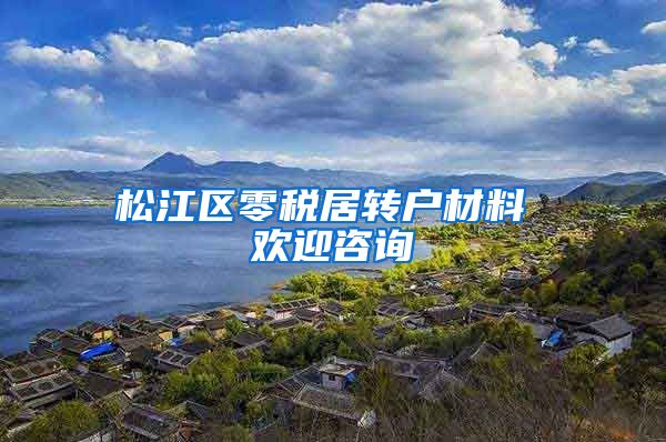松江区零税居转户材料 欢迎咨询