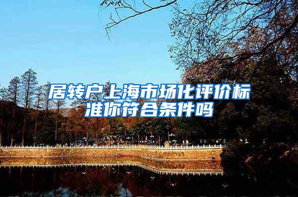 居转户上海市场化评价标准你符合条件吗