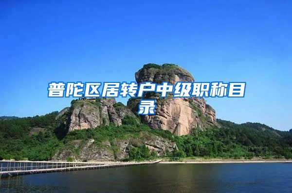 普陀区居转户中级职称目录