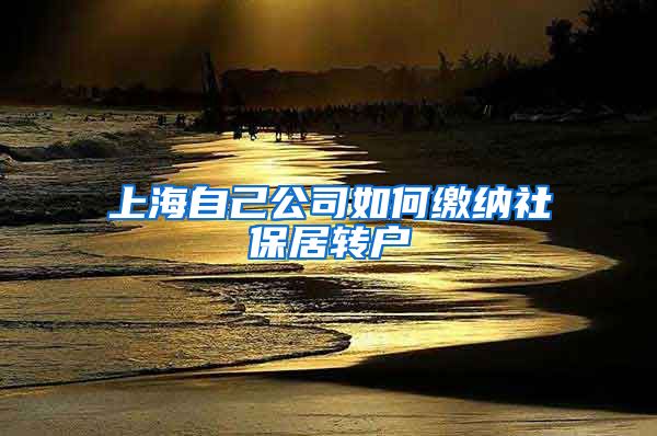上海自己公司如何缴纳社保居转户