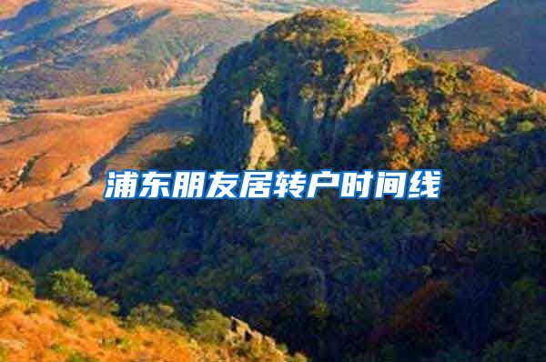 浦东朋友居转户时间线