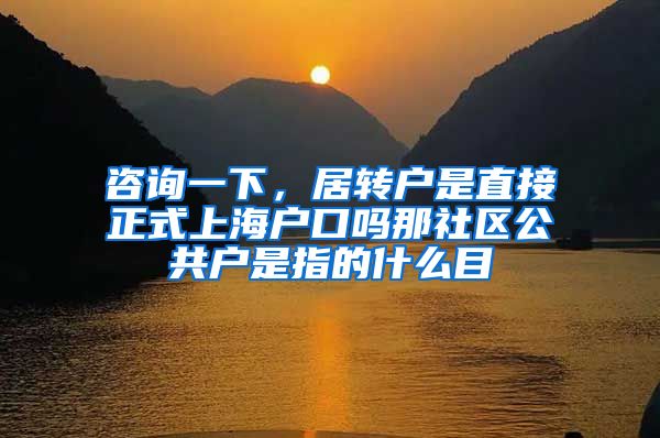 咨询一下，居转户是直接正式上海户口吗那社区公共户是指的什么目
