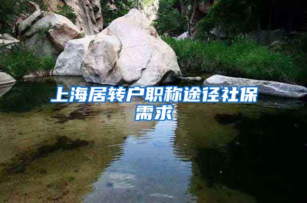 上海居转户职称途径社保需求