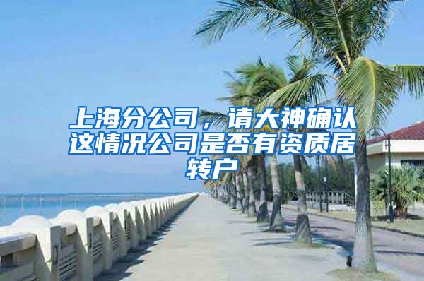 上海分公司，请大神确认这情况公司是否有资质居转户