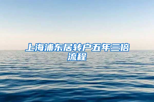 上海浦东居转户五年三倍流程