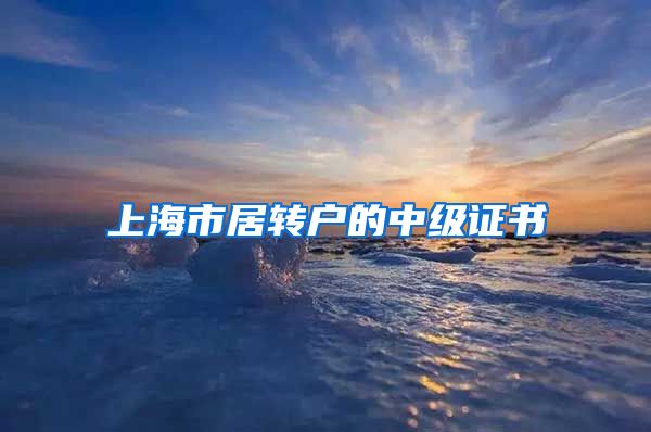 上海市居转户的中级证书