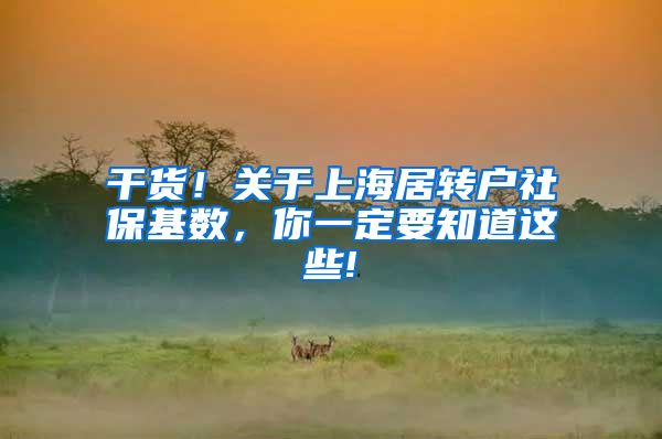 干货！关于上海居转户社保基数，你一定要知道这些!