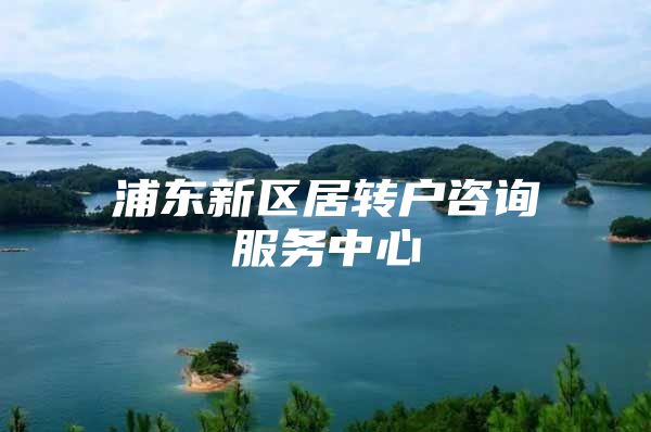 浦东新区居转户咨询服务中心