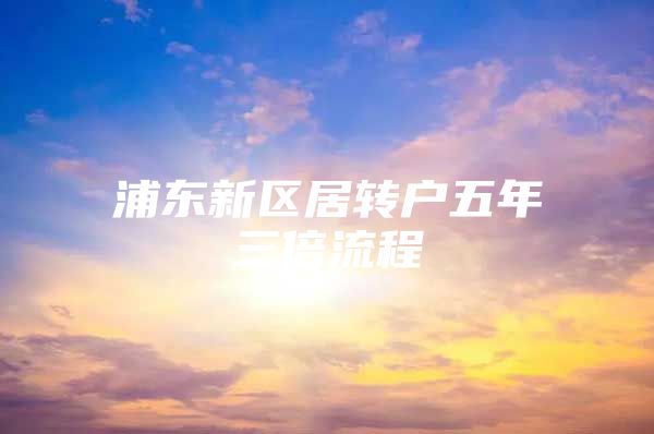 浦东新区居转户五年三倍流程