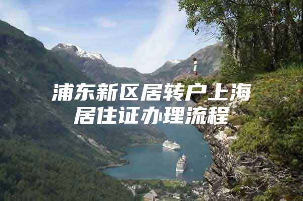 浦东新区居转户上海居住证办理流程