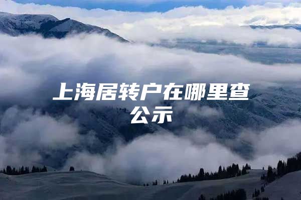 上海居转户在哪里查公示