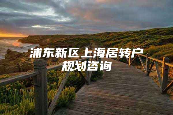 浦东新区上海居转户规划咨询